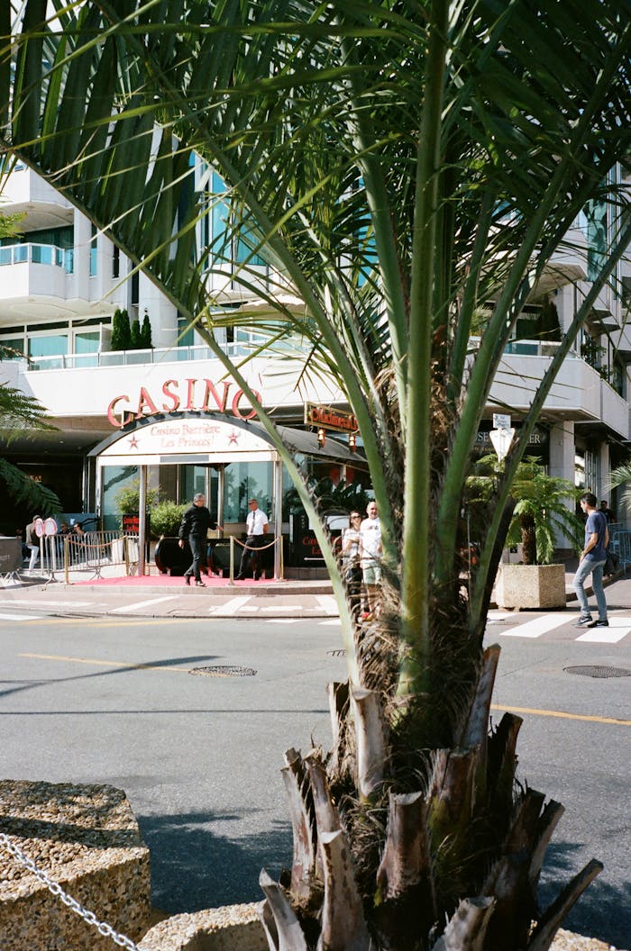 Luxurious casino entrance with palm trees and modern architecture on a sunny day.
